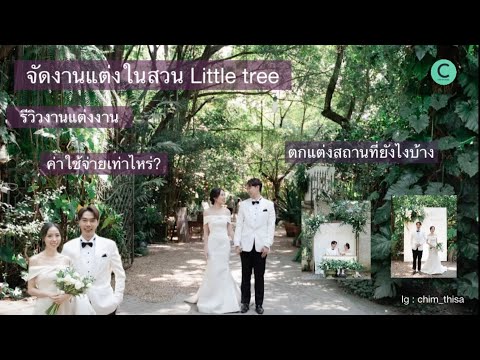 จัดงานแต่งในสวน Little tree 🌿🌿 ep.4